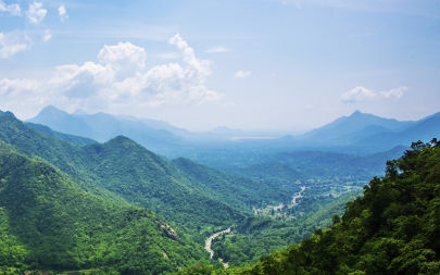 Resorts | Araku Valley, Andhra Pradesh