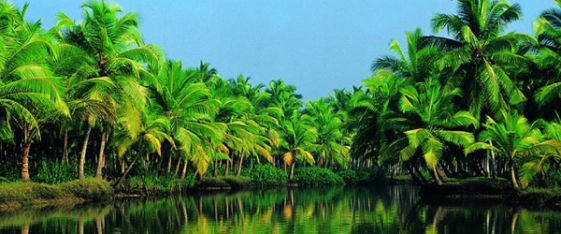 Konaseema Tour Packages