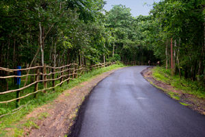 10 Resorts In Maredumilli
